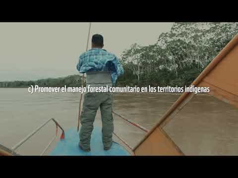 Encuentro Nacional de Veedurías Forestales, Control y Vigilancia