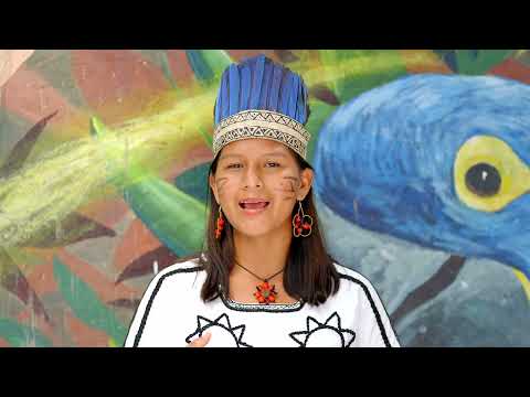 Jóvenes indígenas fortalecidos para proteger los bosques desde la acción climática