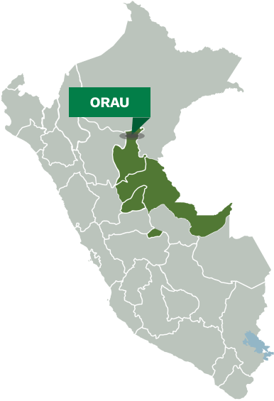 Organización Regional Aidesep Ucayali