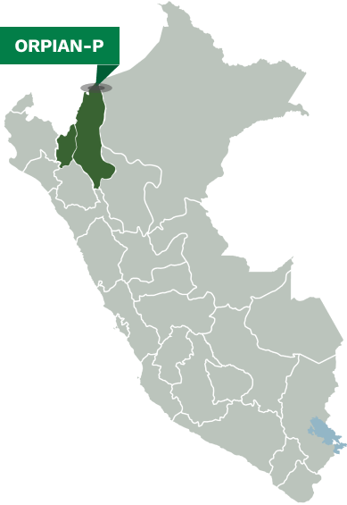 Organización Regional de Pueblos Indígenas de la Amazonía Norte del Perú