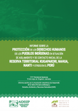 Informe sobre la Protección de los Derechos Humanos de los PIACI de la RTKNN en el Perú