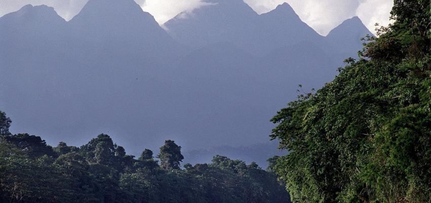 Cordillera Azul San Martín: pueblo Kichwa se pronuncia contra la conservación excluyente y el negociado de carbono en el Parque Nacional Cordillera Azul