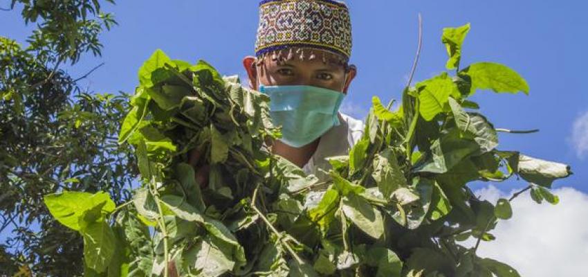 Foto Comando Matico AIDESEP lanza Minga para fortalecer el Programa de Salud Intercultural