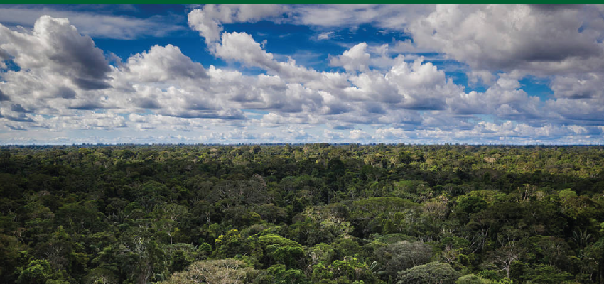 LFFS modif Alerta: Congreso programó la aprobación por insistencia de la Autógrafa de Ley que debilitará la Ley Forestal y de Fauna Silvestre