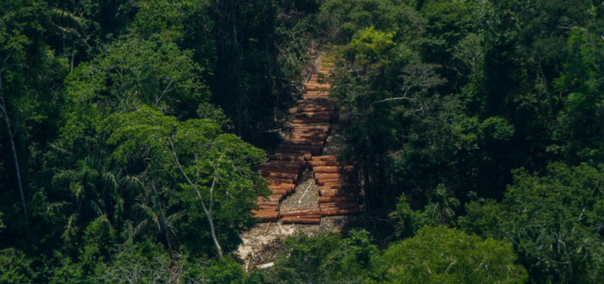 aidesep madera ilegal PNSD Organizaciones indígenas piden acciones contundentes para anular concesiones forestales otorgadas en reservas indígenas de Loreto