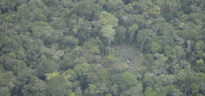 aidesep reserva indigena napo Loreto: Comisión Multisectorial PIACI evaluará el Estudio Previo de Reconocimiento de los pueblos en aislamiento de la Reserva Indígena Napo Tigre