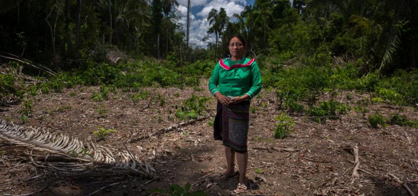 aidesep ucayali ddhh Ucayali: Declaran de interés regional la protección de personas defensoras de DDHH