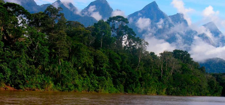 parque nacional cordillera azul Pronunciamiento: Respaldamos al pueblo Kichwa y rechazamos la conservación excluyente y el negociado de créditos de carbono en el Parque Nacional Cordillera Azul