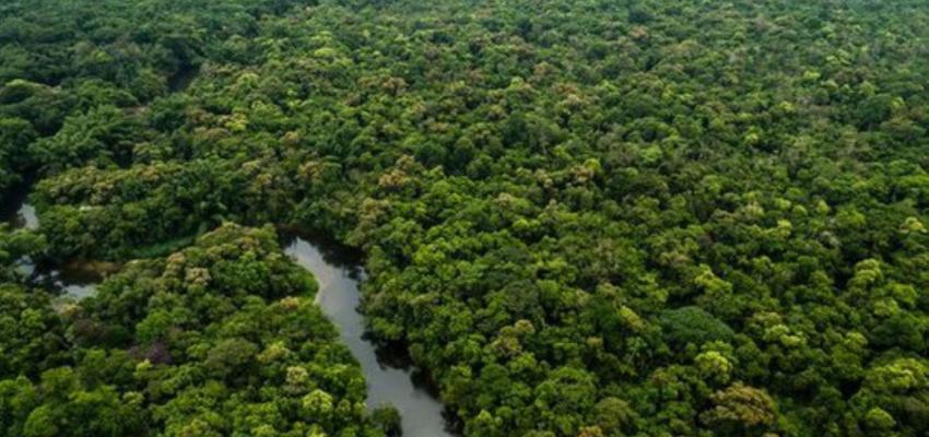 bosques AIDESEP, COIAB e Indian Law ganan fondo para garantizar la seguridad jurídica territorial de comunidades