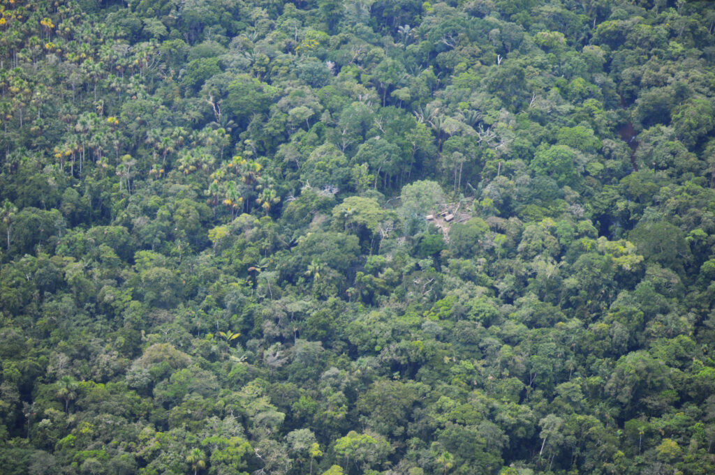 Napo Tigre maloca PIA yucal y aguajal Orpio 2019 2 1 Ucayali: organizaciones indígenas se pronuncian por la defensa de los PIACI