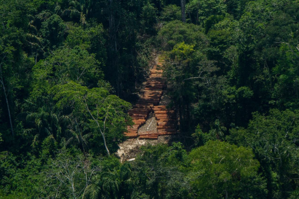 madera ilegal en PNSD y Yavari Tapiche IBC 2015 1 AIDESEP y ORPIO reiteran a Serfor pedido de anulación de las 47 concesiones forestales ilegales en territorios de los Pueblos Indígenas en Aislamiento