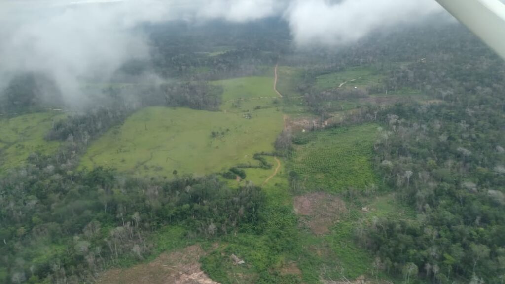 ORAU sobrevuelo deforestacion kakataibo colindante Organizaciones indígenas solicitan a la CIDH que otorgue medidas cautelares para proteger al Pueblo Indígena en Aislamiento Kakataibo