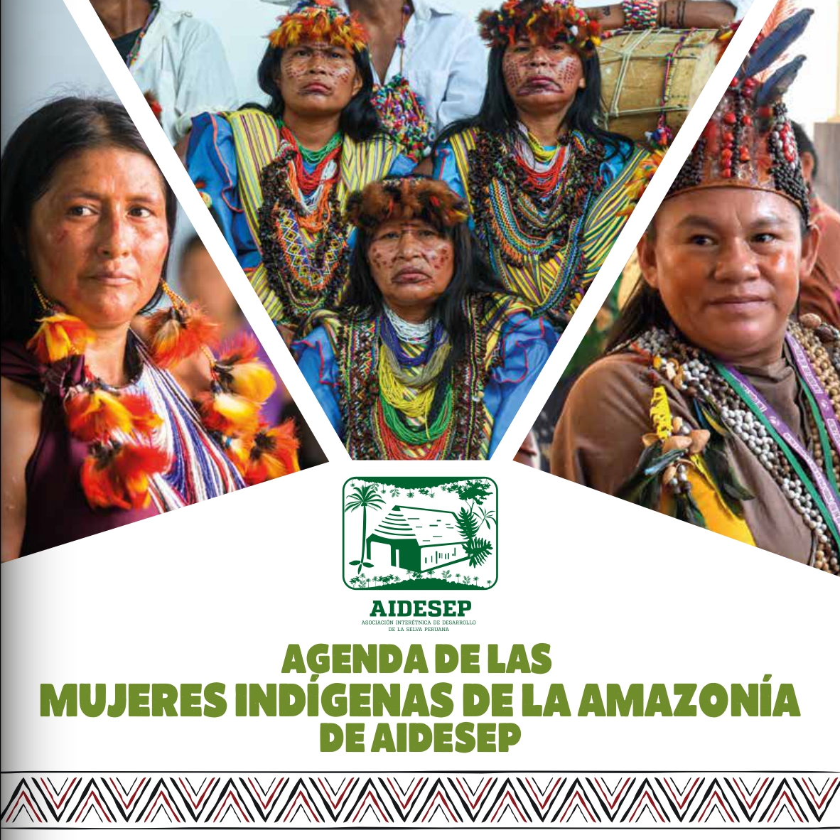 Agenda de las mujeres indígenas de la Amazonía