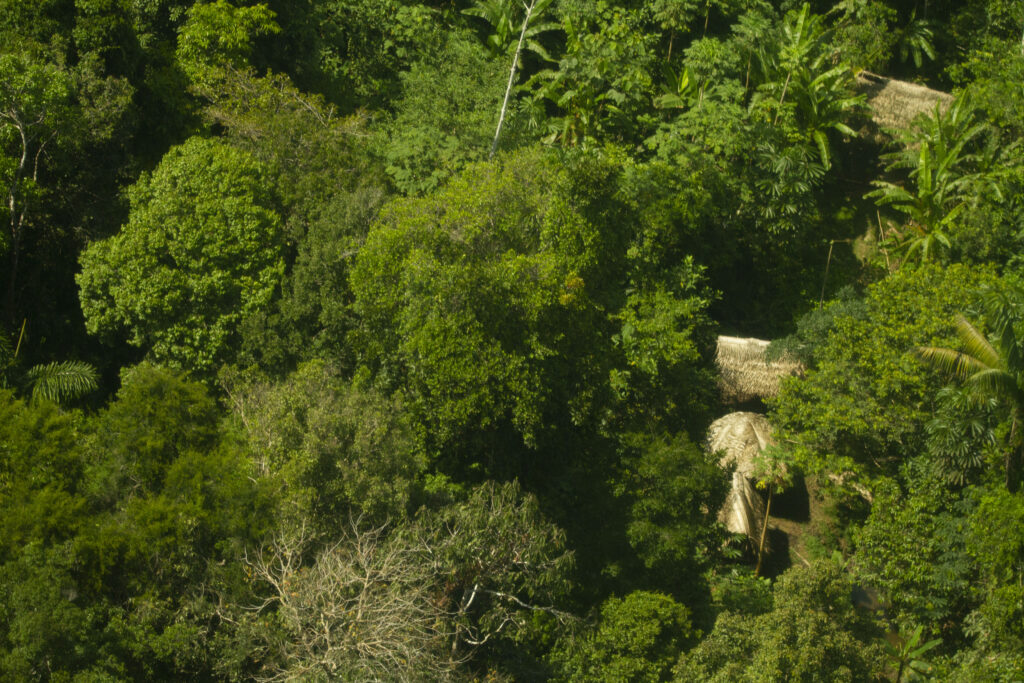 ORPIO PIACI 1 AIDESEP pide a Grupo de Gobernadores por el Clima y Bosques (GCF Task Force) acciones frente a violación de derechos indígenas de parte del Gobierno Regional de Loreto (GOREL)