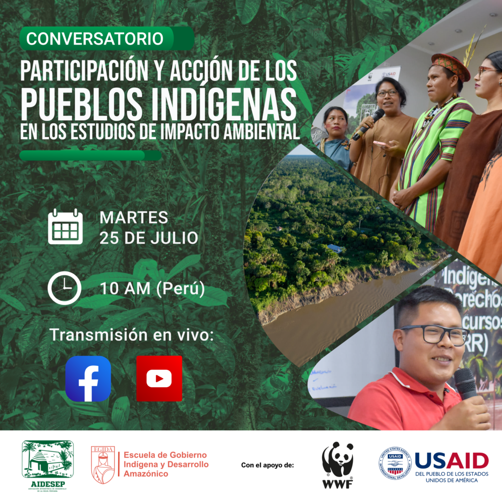 Webinar EIA 2 Líderes indígenas plantean propuestas para fortalecer su participación en los procesos de certificación ambiental