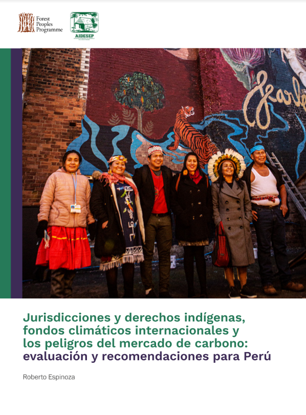 Libro Jurisdicciones y derechos indígenas, fondos climáticos internacionales y los peligros del mercado de carbono