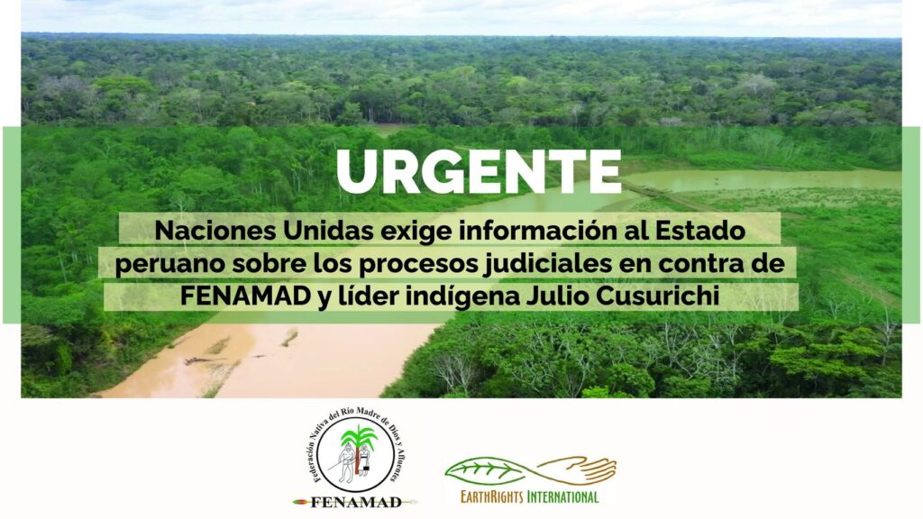 ONU Fenamad Naciones Unidas exige al Estado peruano información sobre los procesos judiciales en contra de FENAMAD y el apu Julio Cusurichi