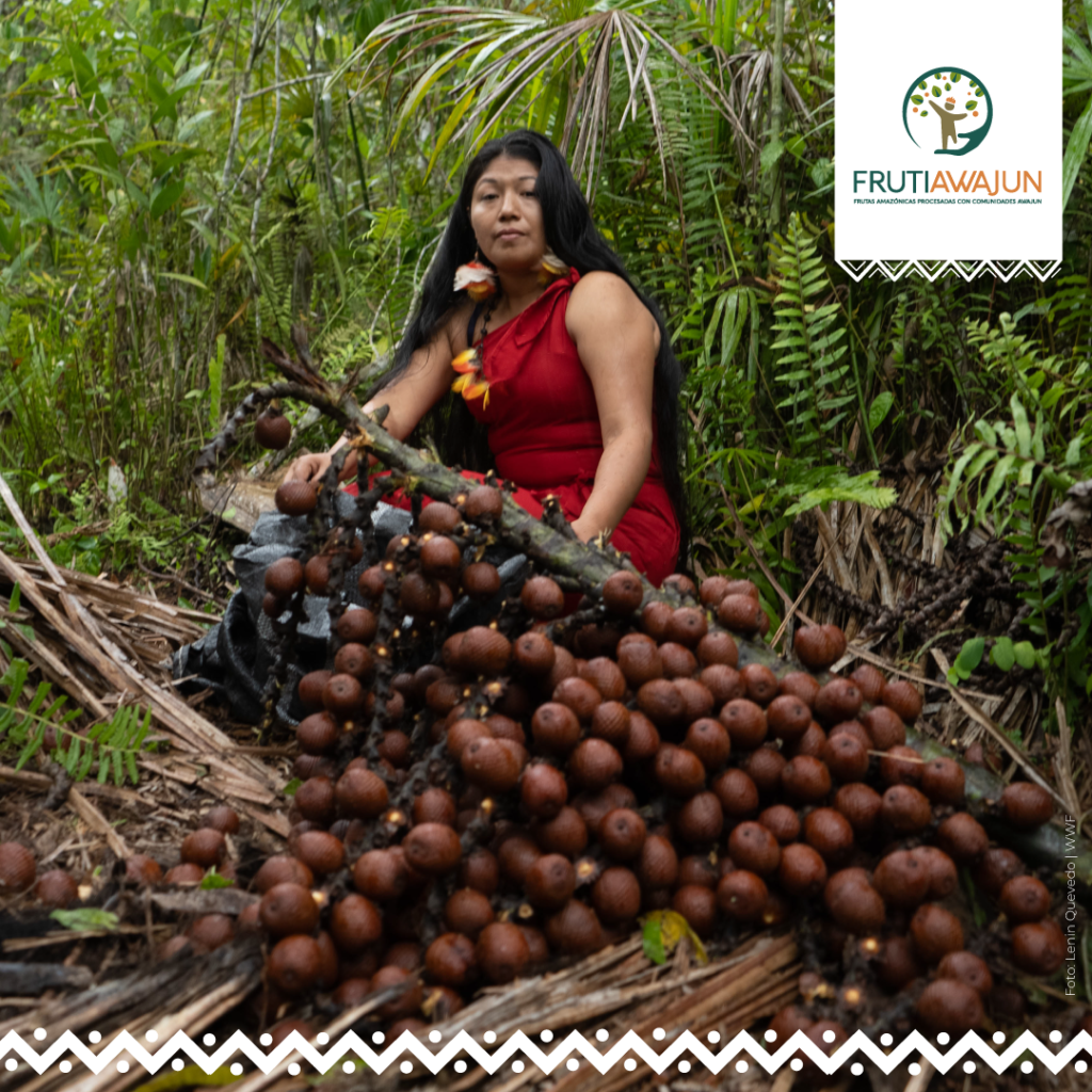 1 6 Expoamazónica: Líderes indígenas y autoridades dialogarán sobre desarrollo de la Amazonía basado en derechos en foro intercultural