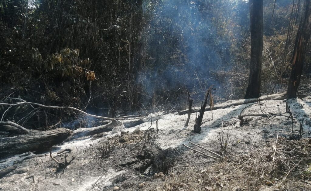 25.09.23 incendio Laulate e1695660453391 Comunidad nativa Santa Rosa de Laulate alerta sobre la falta de acciones de las autoridades para apagar el incendio forestal en su territorio