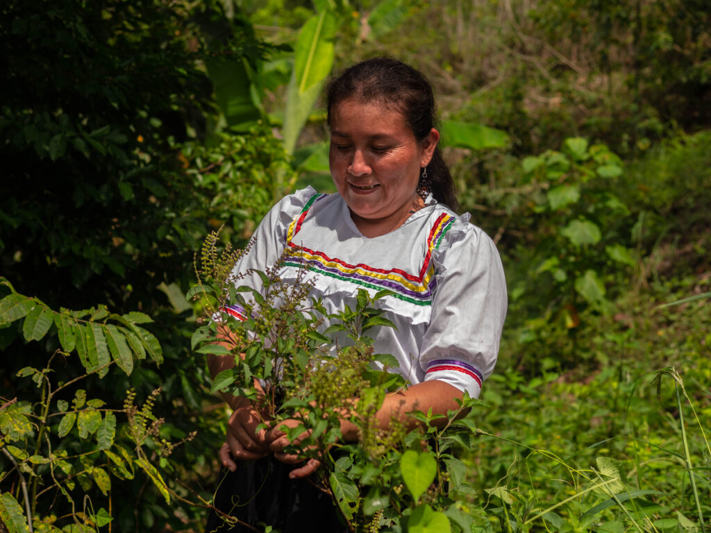 Ampik Sacha credito Lenin Quevedo WWF Peru 9 Emprendedores indígenas concluyen con éxito curso de especialización sobre economía indígena