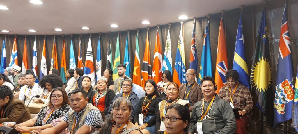 ADALIT COP3 ¡Por una participación indígena efectiva en el marco de la gobernanza de Escazú!