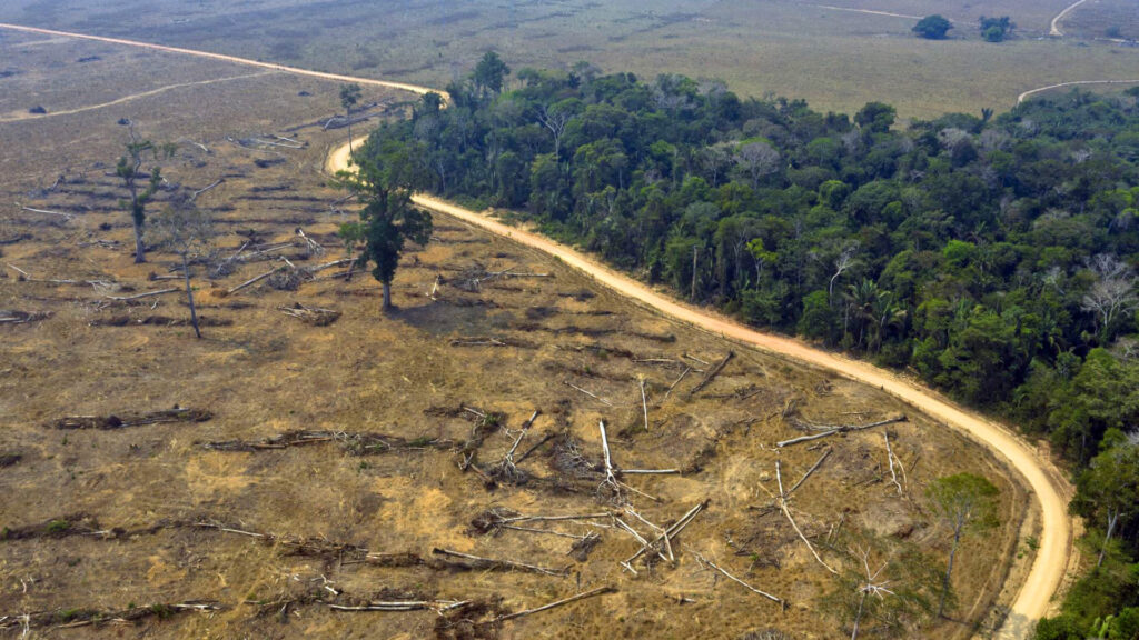 1 deforestacion 1920x1080 1 Pronunciamiento: Apoyamos el paro nacional de transportistas en defensa de la vida, la democracia y la seguridad ciudadana