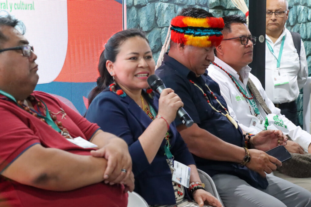 Evento financiamiento con WWF La falta de financiamiento directo y focalizado para Pueblos Indígenas: un obstáculo crítico para la conservación de la Amazonía