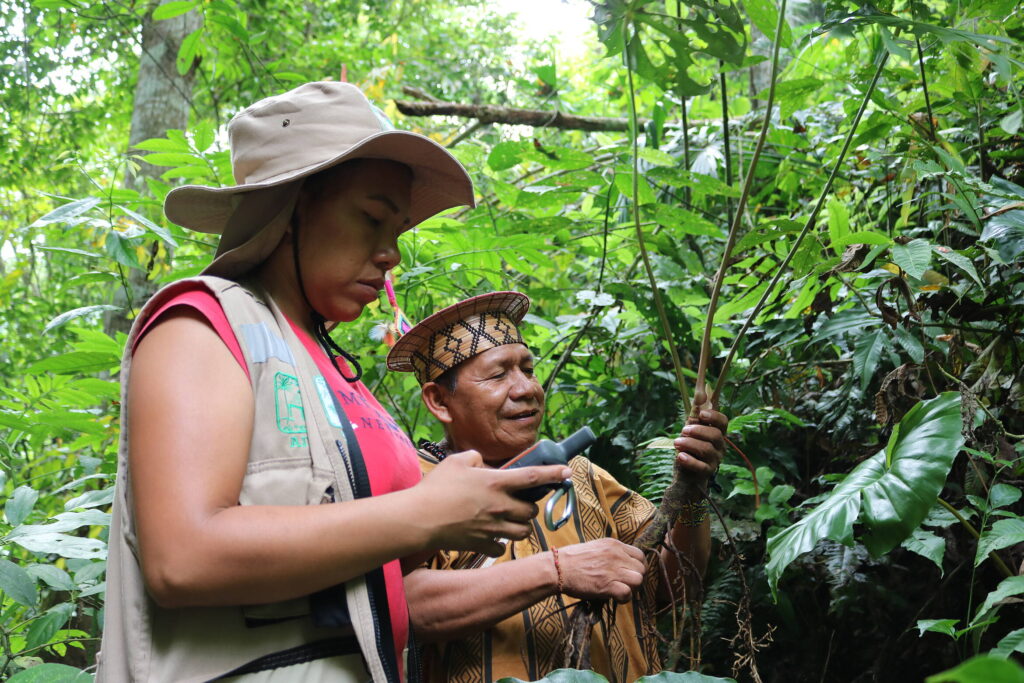 credito aidesep 1 795638 COP 16: Los pueblos indígenas, protagonistas y aliados estratégicos para la conservación de la Diversidad Biológica frente al cambio climático en el mundo