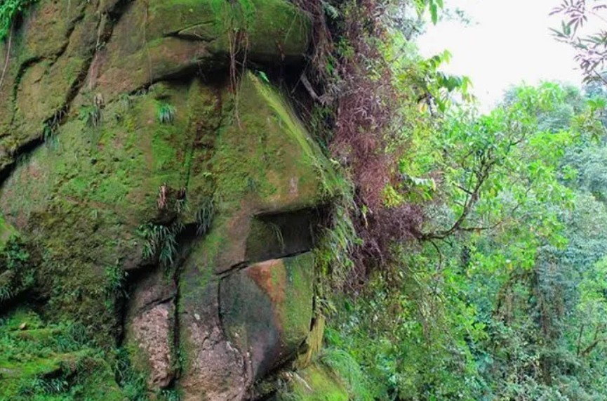 Harakbut Nación Harakbut solicita medidas cautelares ante la CIDH por amenazas a su territorio ancestral