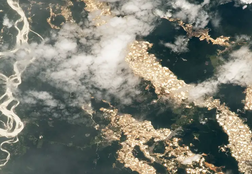 Captura de pantalla 2025 03 12 163933 Turberas amazónicas: el tesoro invisible en peligro por la minería de oro