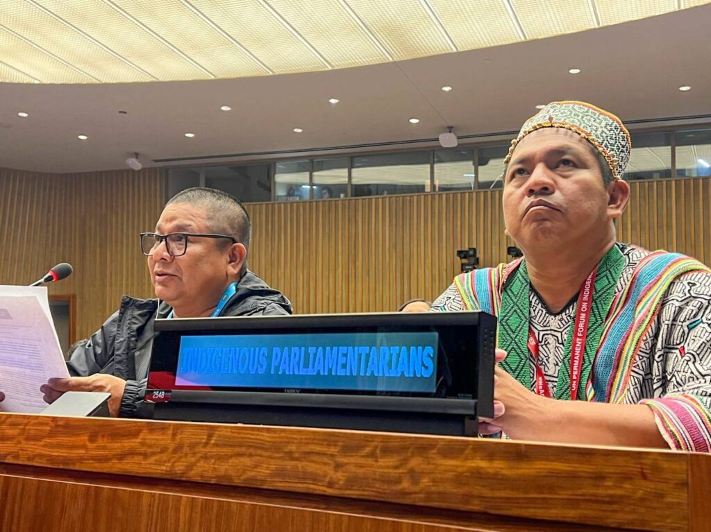 Apus ONU Dirigentes de AIDESEP continúan haciendo oír las voces de los pueblos indígenas en la ONU