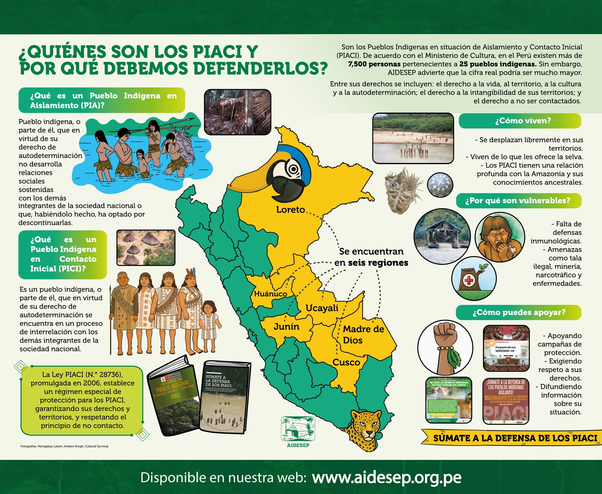 Infografía – ¿Quiénes son los pueblos indígenas en aislamiento y contacto inicial?